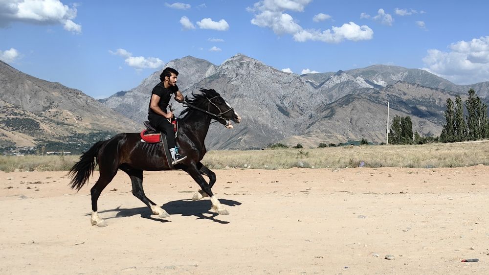 Фотография автора Ахмат Байсиев