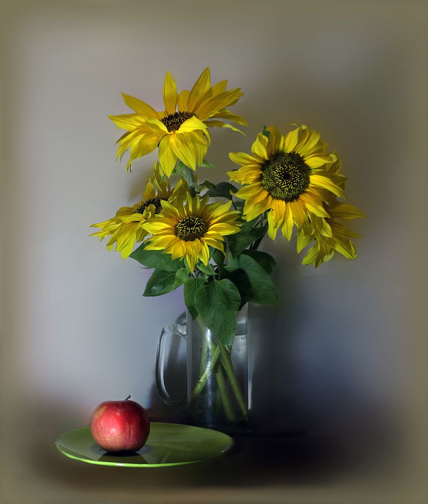 Photograph by Заболотская Ольга