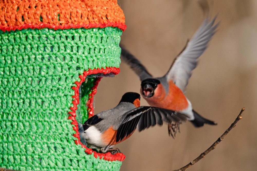 А ну, посторонись.