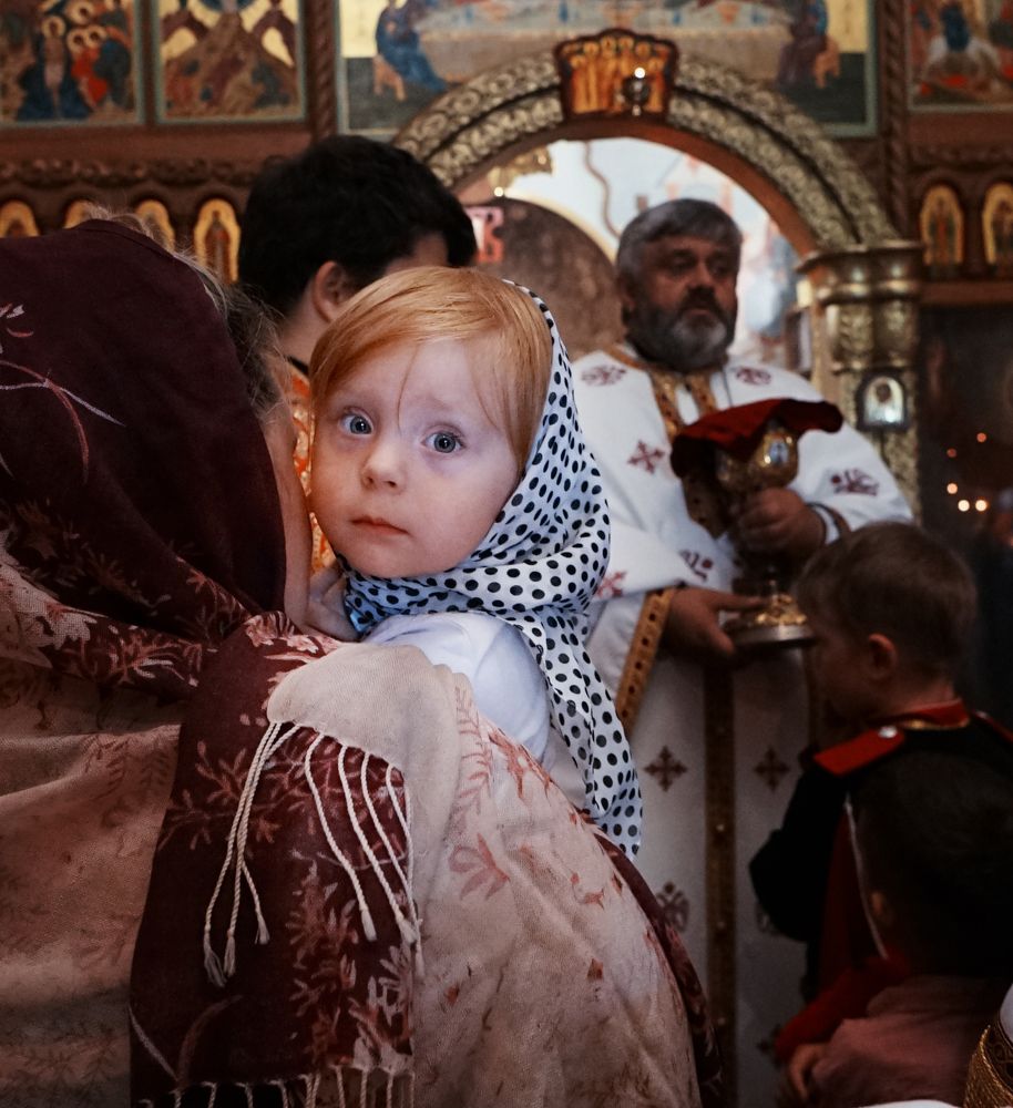 Photograph by Елена