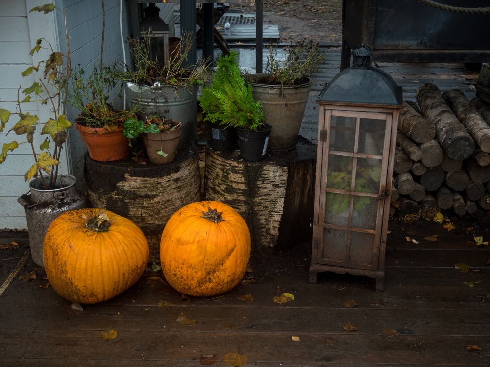 Photograph by Шейко Анна