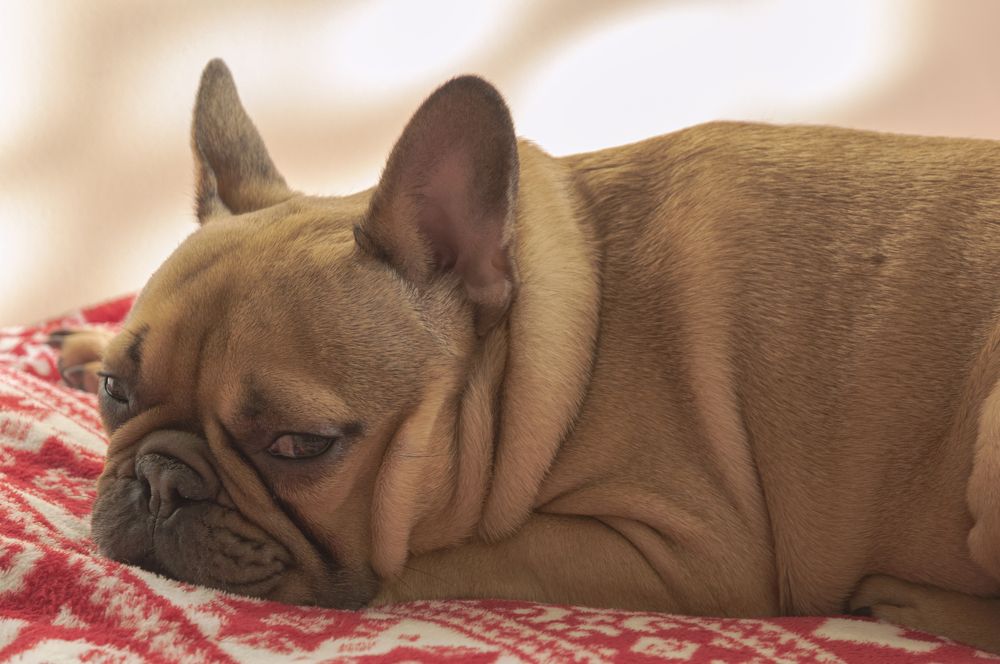 Photograph by Светлана Мельник