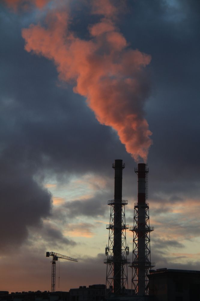 Фотография автора Анастасия Зверева