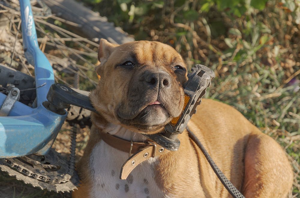 Photograph by Светлана Мельник