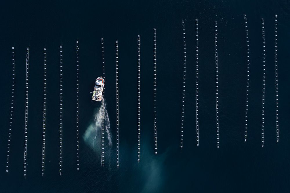 Photograph by İsmail serhat Şahin