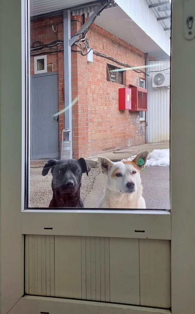 Photograph by Гельфман Галина