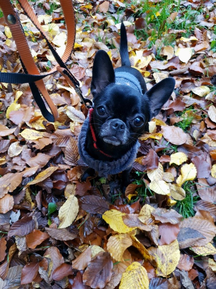 Photograph by Elena Ibragimova