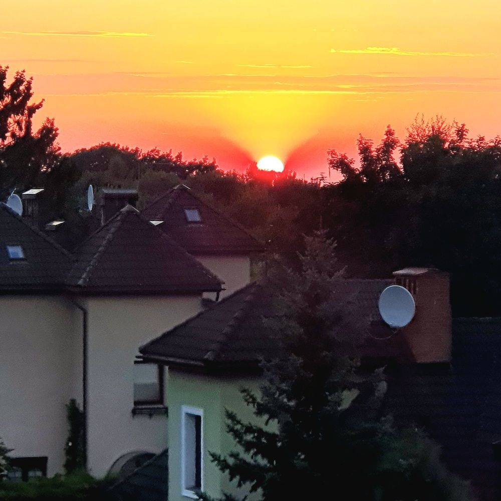 Photograph by Elena Ibragimova