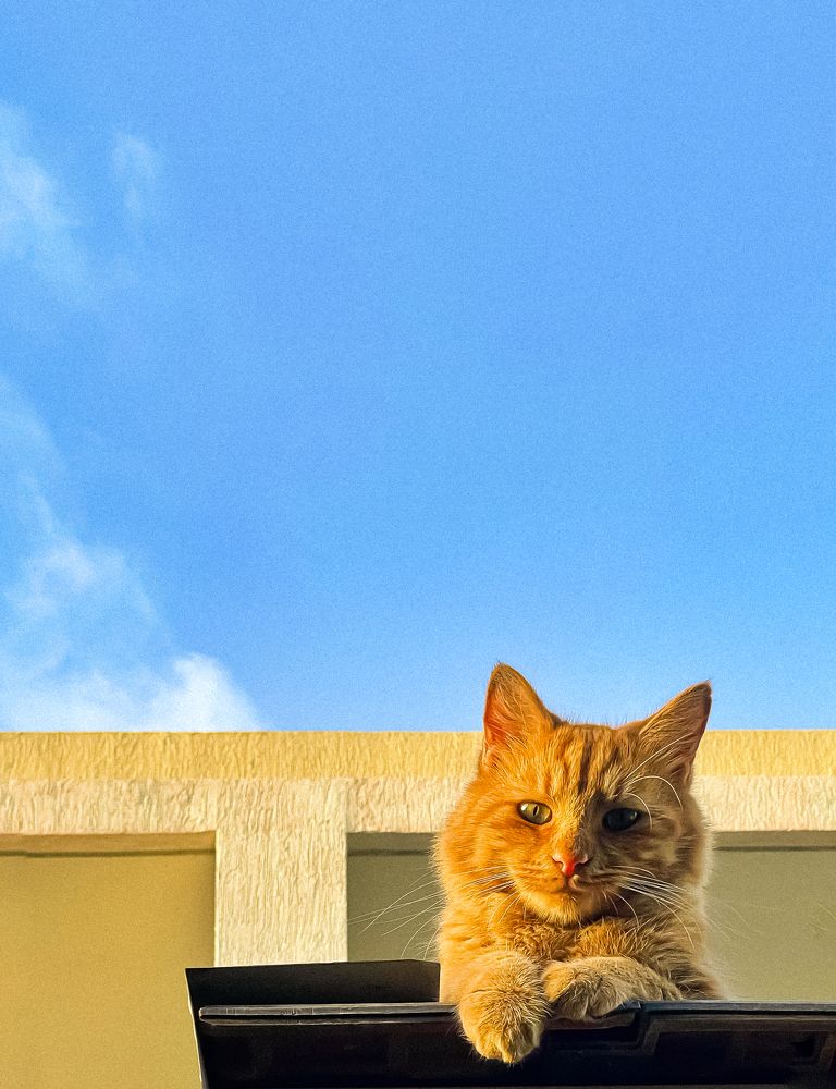 Photograph by Marina Levanov