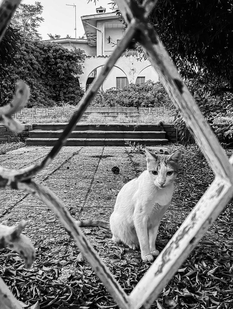 Photograph by Marina Levanov