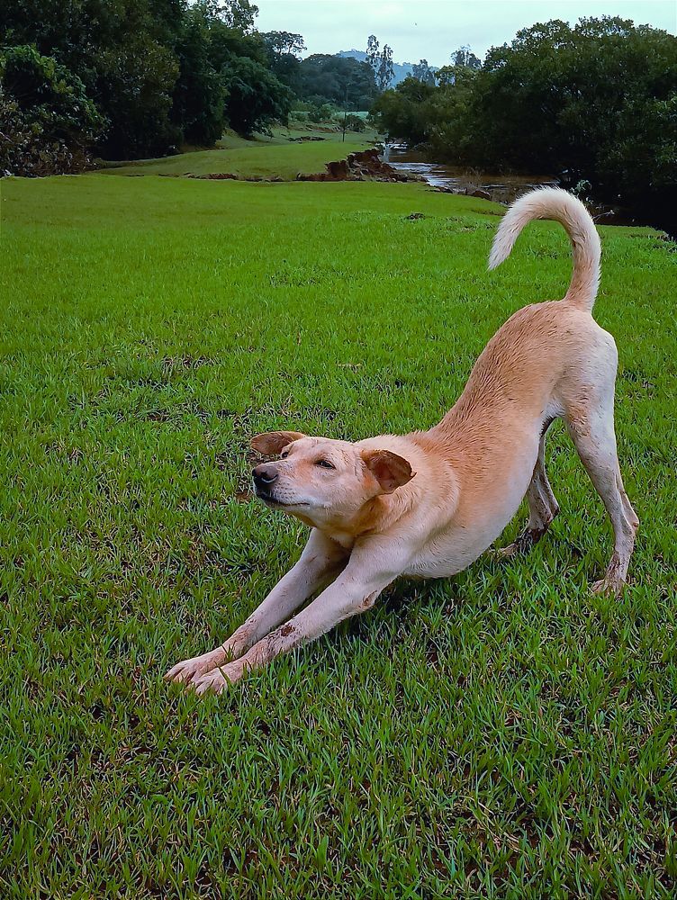 Photo #9821955