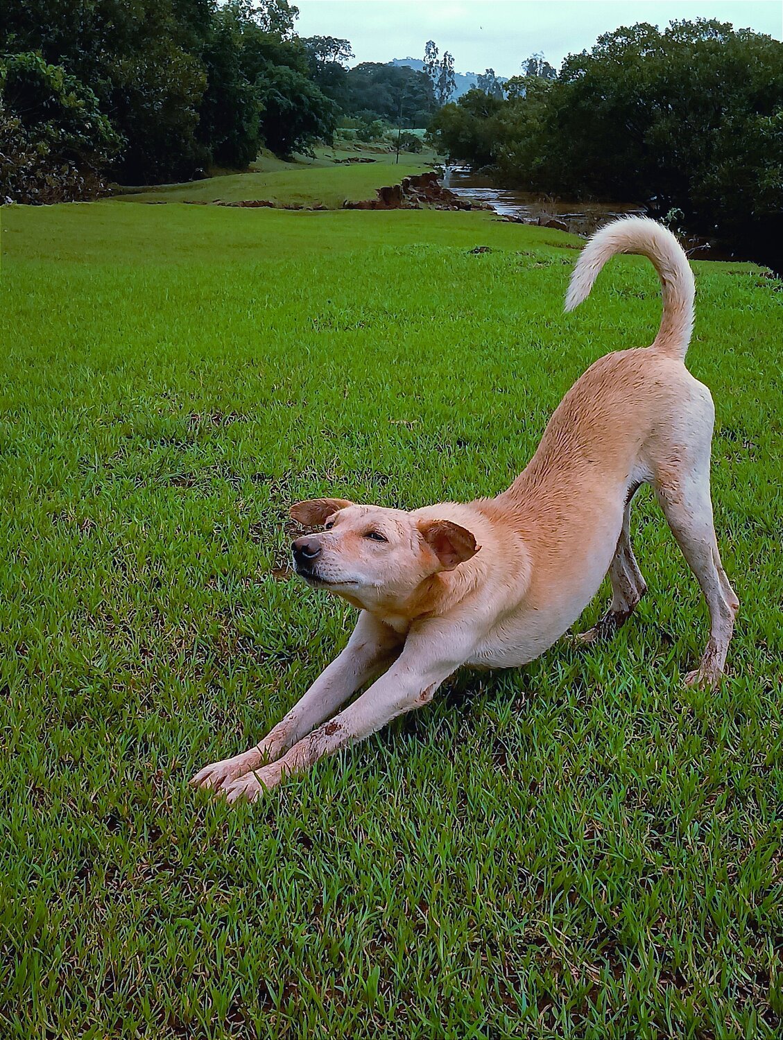 Photo #9821955