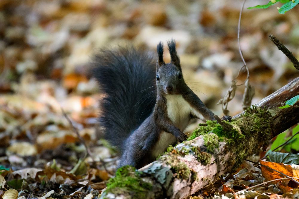 Photograph by levi bagy