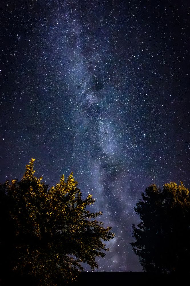 Фотография автора Minja Jovetic