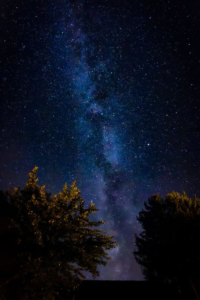 Фотография автора Minja Jovetic