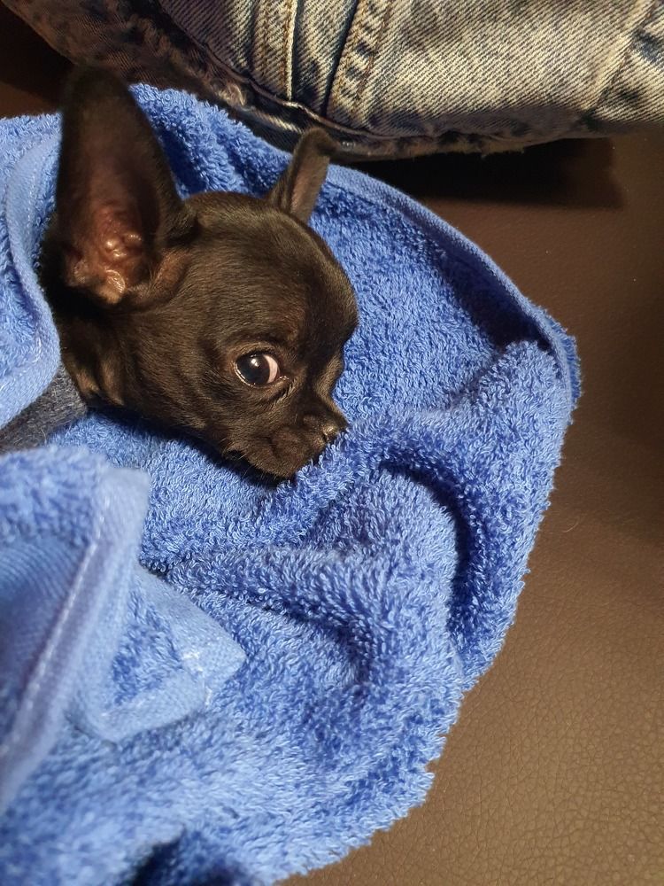 Photograph by Elena Ibragimova