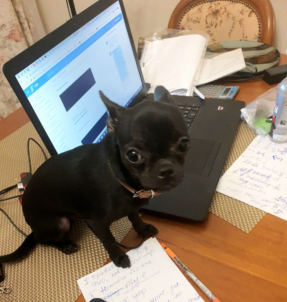 Photograph by Elena Ibragimova