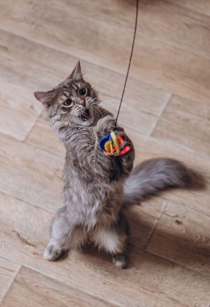 Photograph by Лина Лазарева