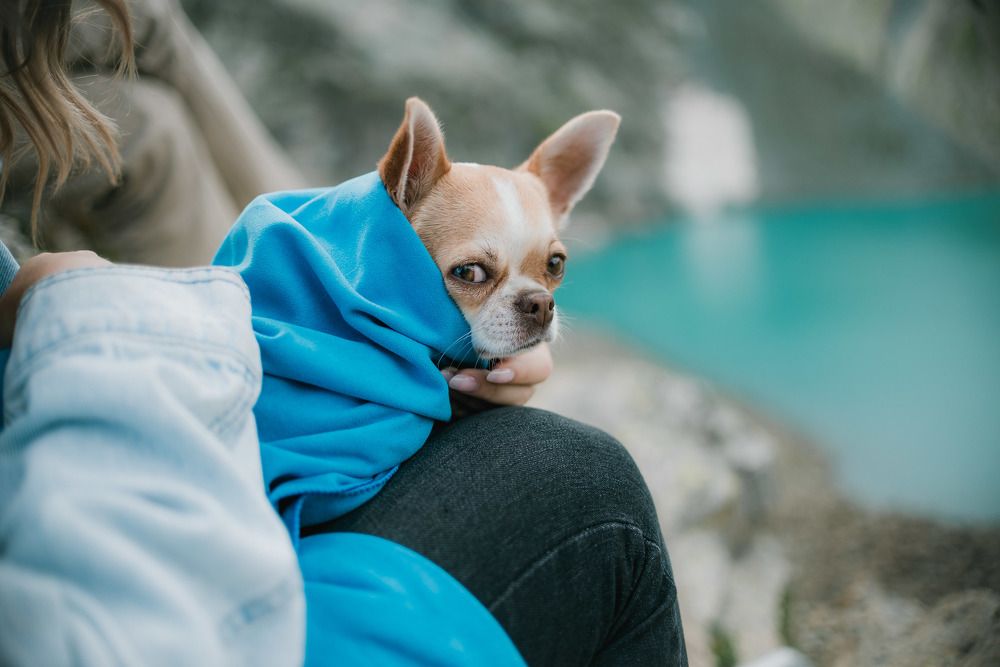 Photograph by Лина Лазарева