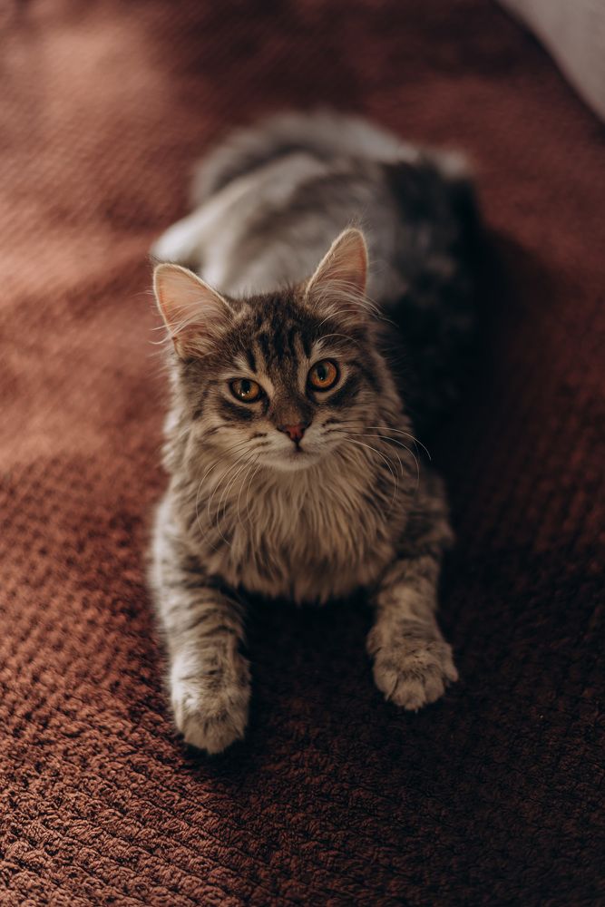 Photograph by Лина Лазарева