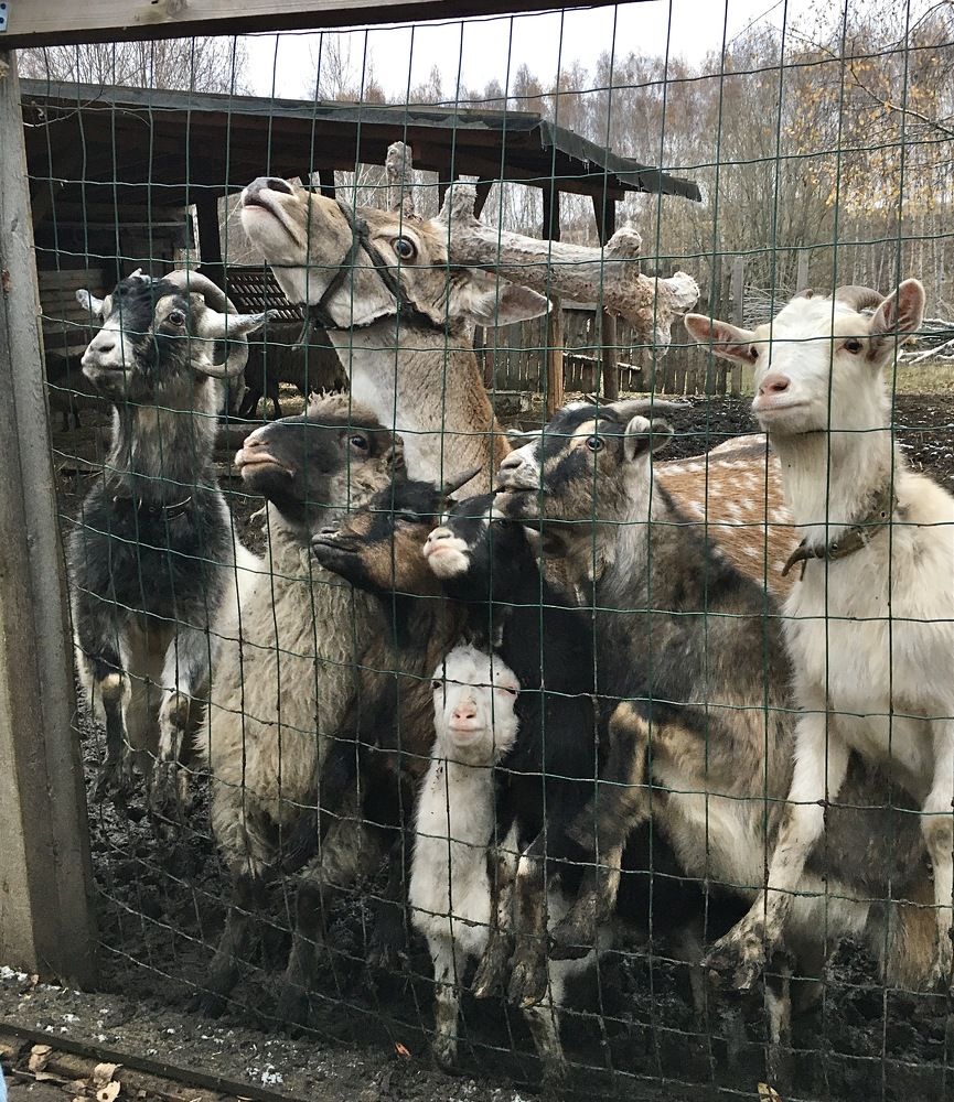 Photograph by Татьяна