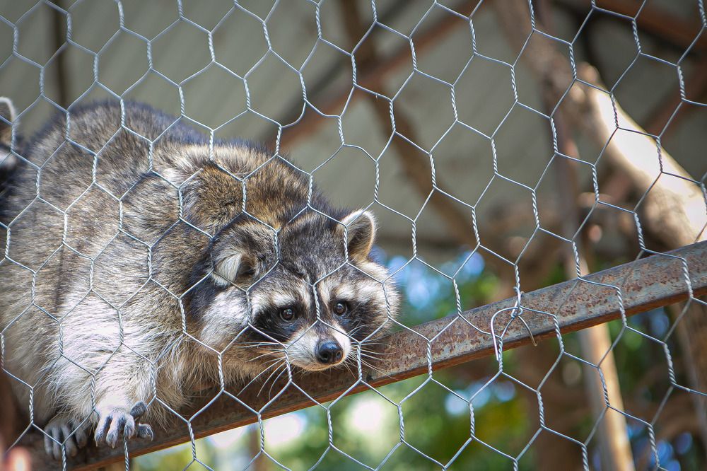 Photograph by Очева Наталья Александровна