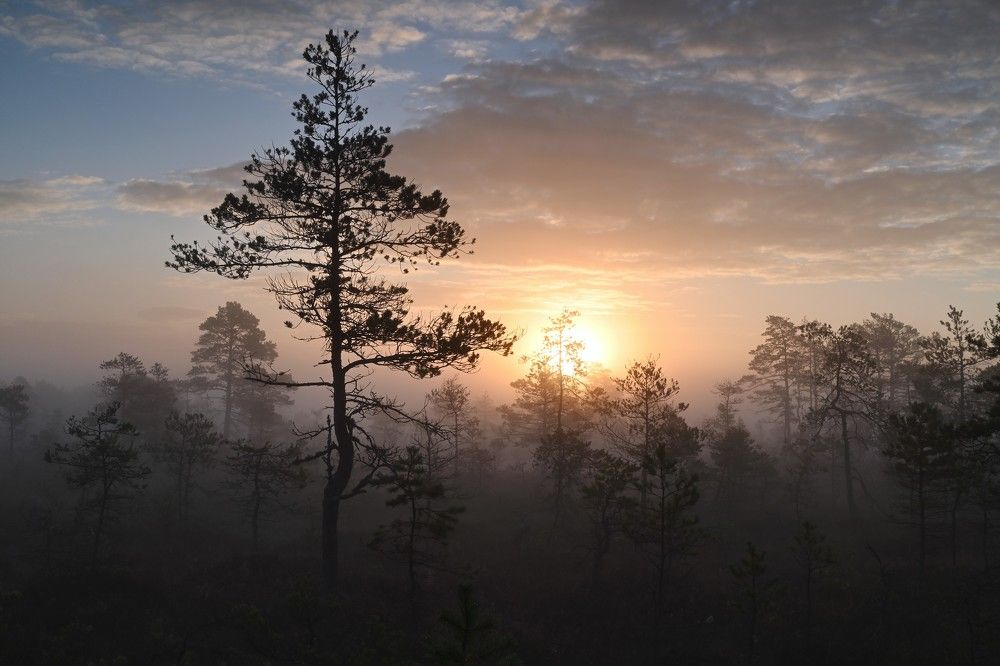 Photograph by IJA REIMAN