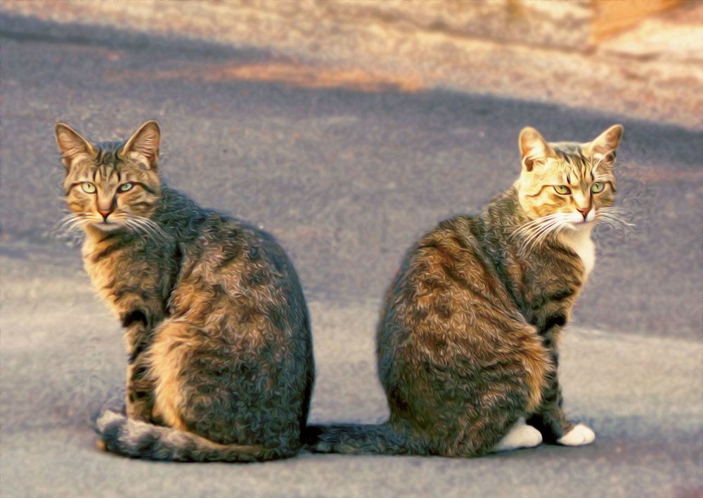 одинаковки