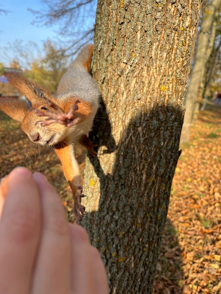 Photograph by Воротова Анастасия