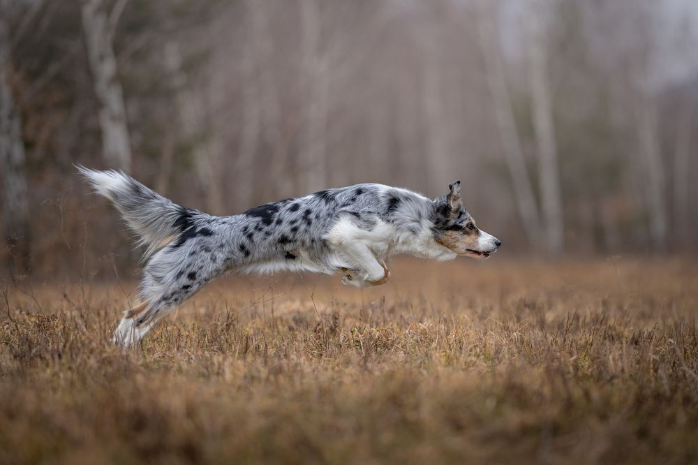 Photograph by Lucia Drietomska