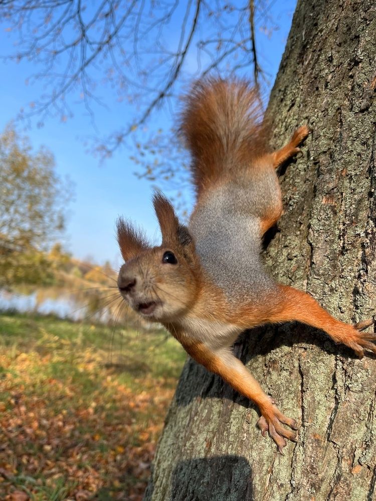 Photograph by Воротова Анастасия