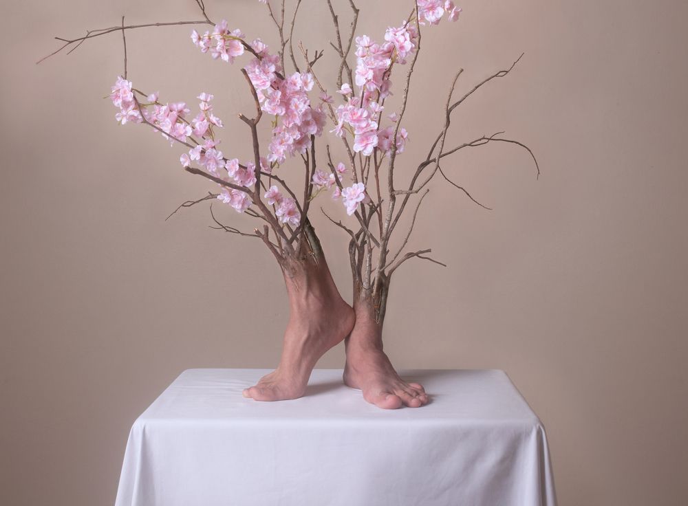 Photograph by Apollo Vienna