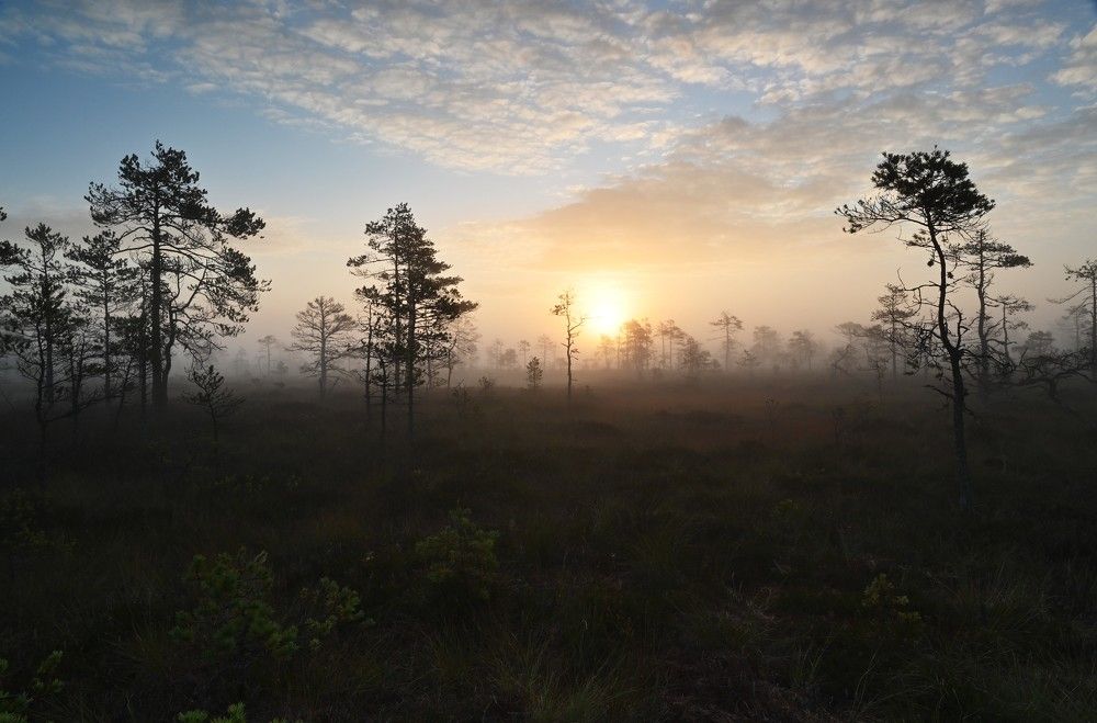 Photograph by IJA REIMAN