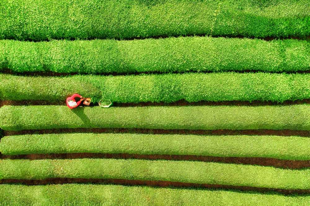 Photograph by Murat TOPAL