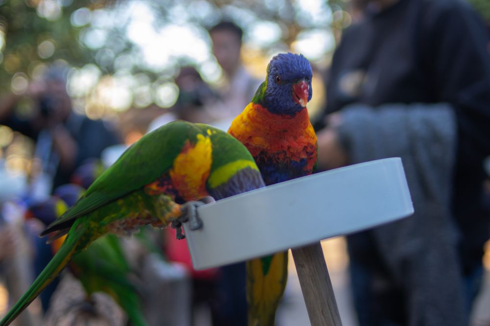 Фотография автора Alexander Pakhomov