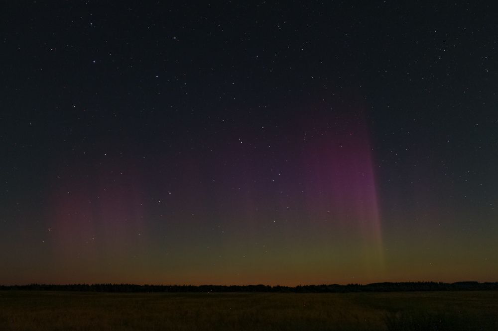 Photograph by Виталий Грачёв