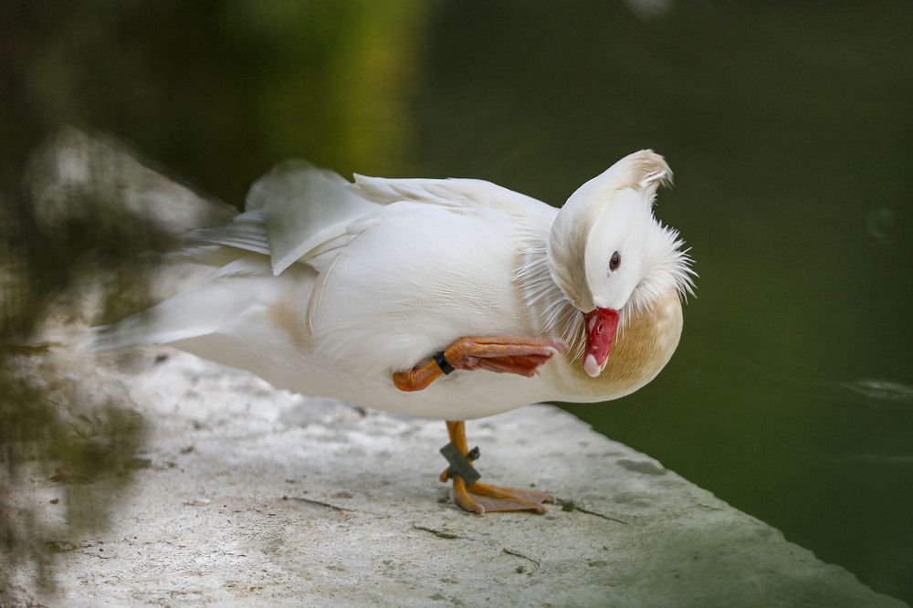 Photograph by Mousa Taghavi Namin