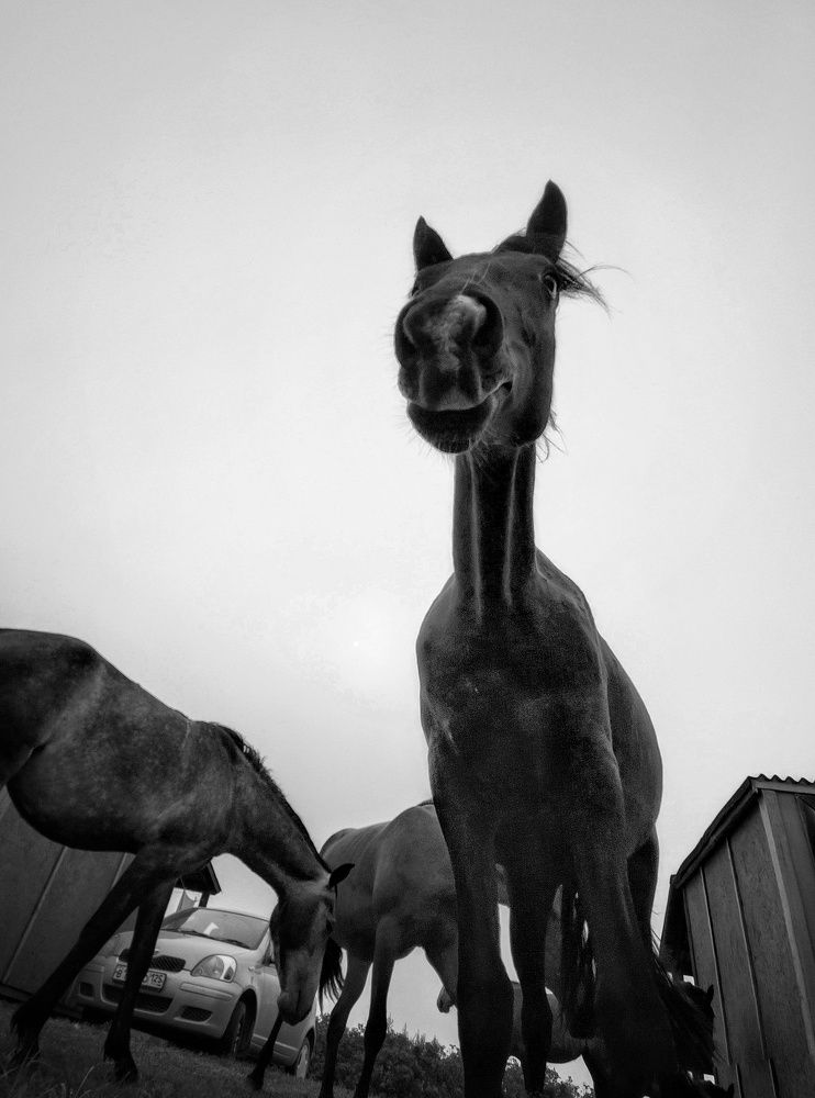 Photograph by Andrey Matveenko