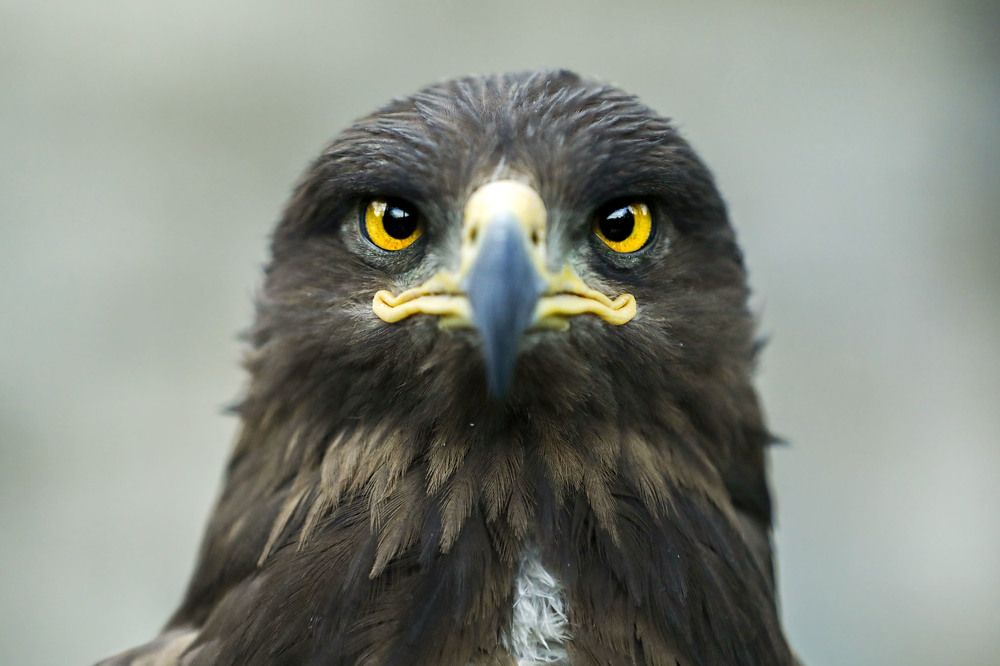 Photograph by Mousa Taghavi Namin