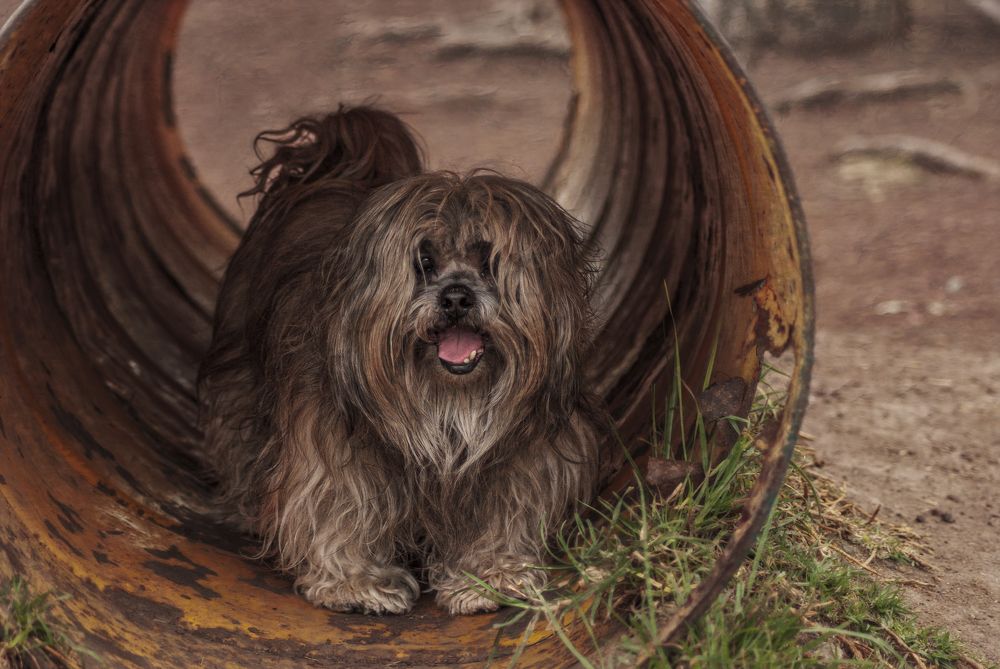 Photograph by Joaquin Silva