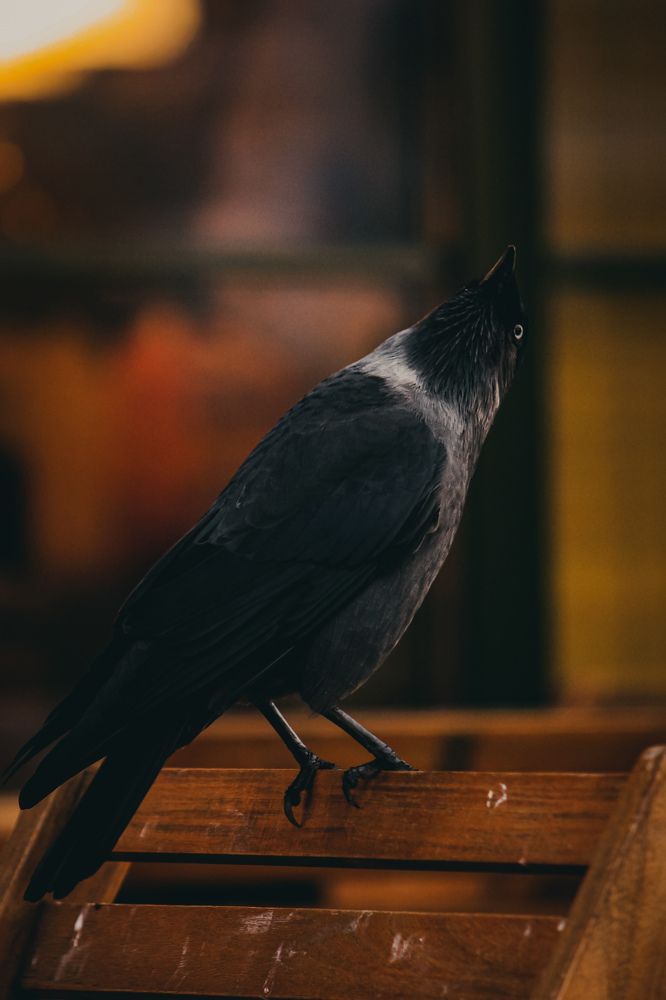 Photograph by Света Вирбицкас