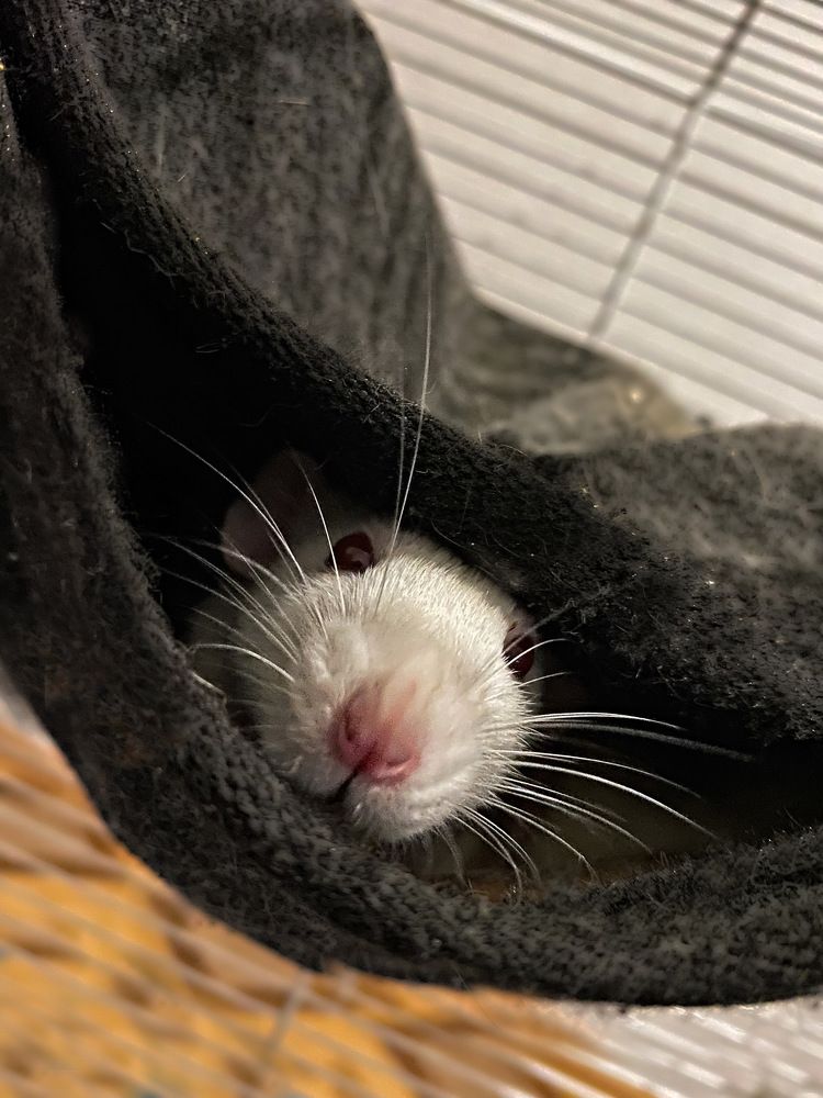 Photograph by Александра Гонтарь