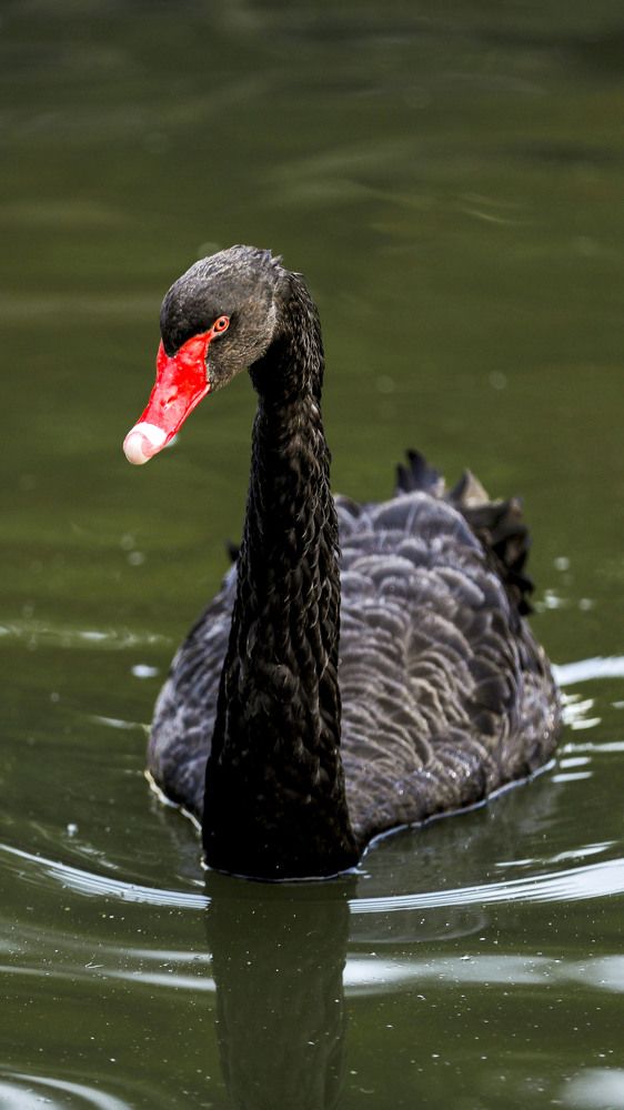 Photograph by Mousa Taghavi Namin