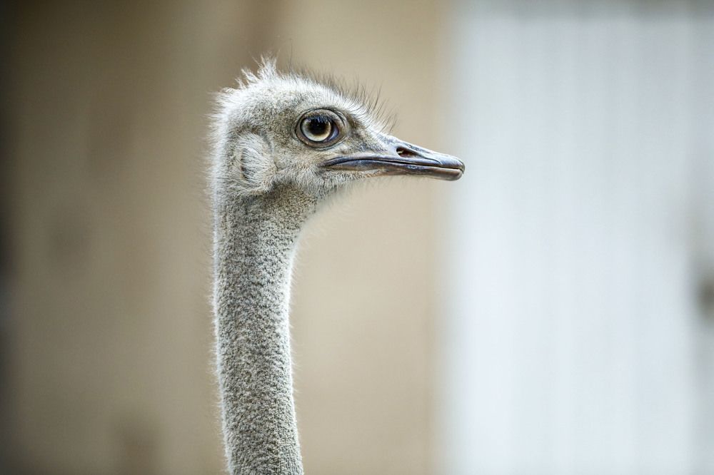 Photograph by Mousa Taghavi Namin