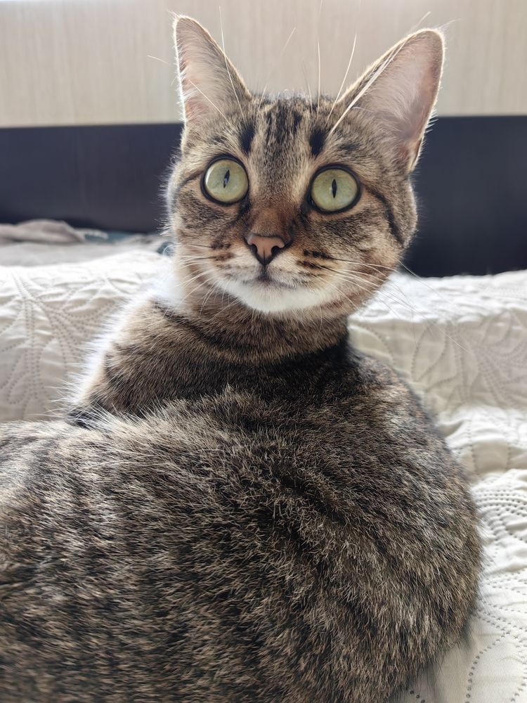 Photograph by Maiya Bulatova