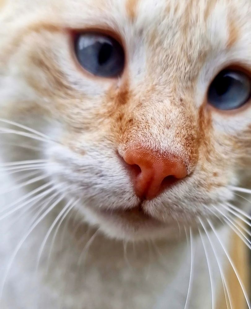 Photograph by Manuel Palma