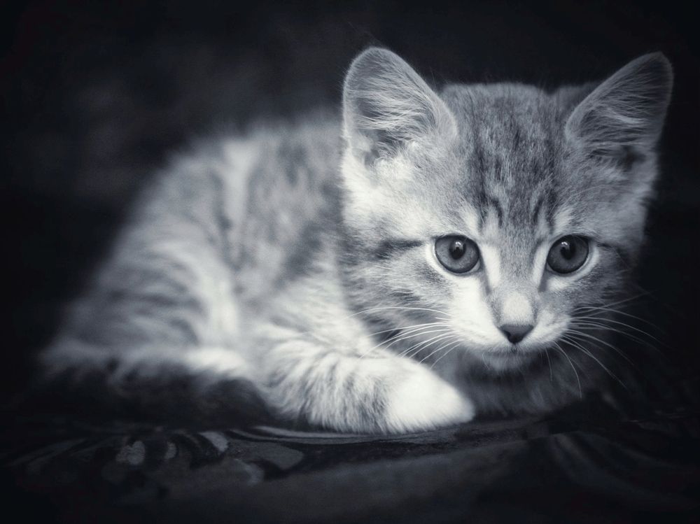 Photograph by Регина Джумалиева