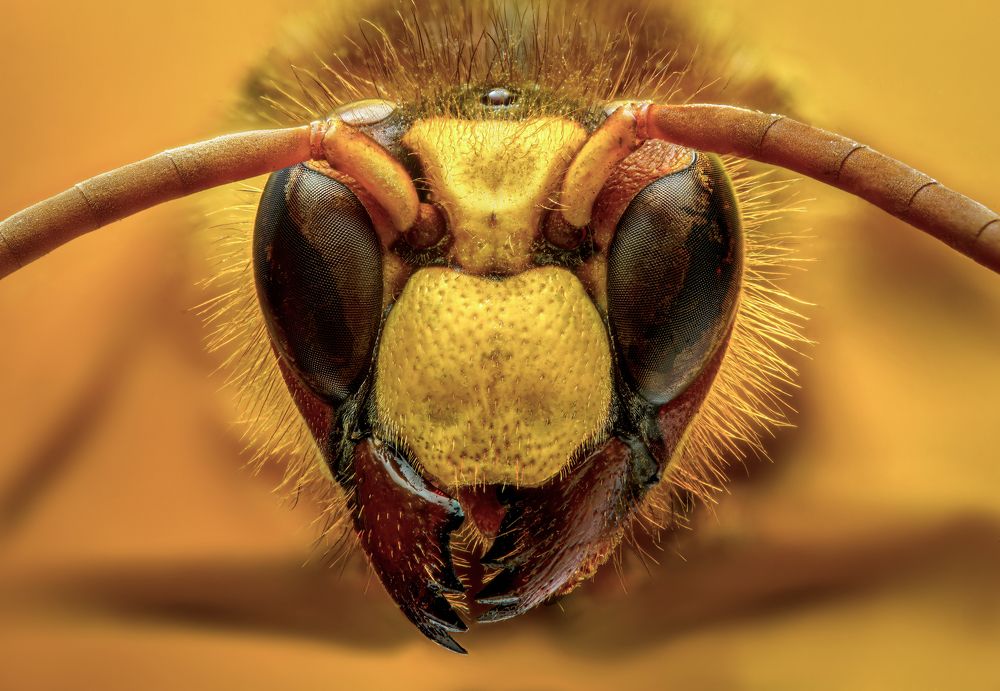 Photograph by Алтуфьев Сергей