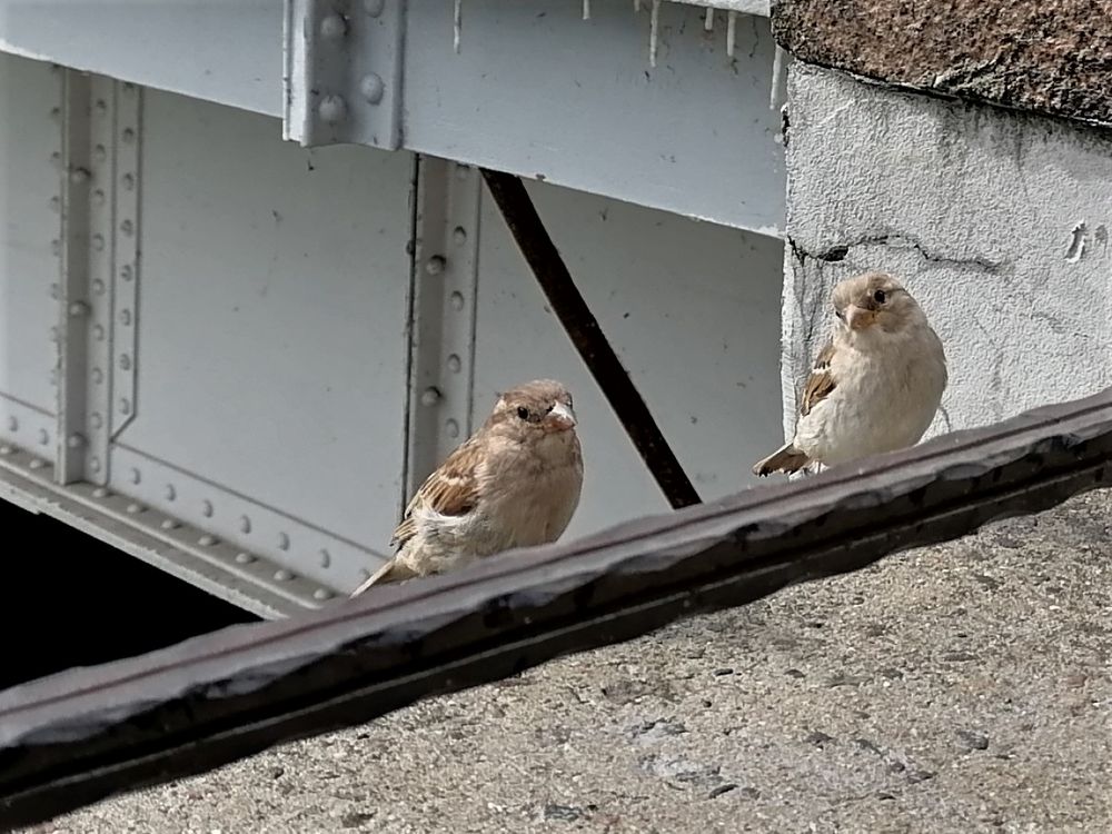 Photograph by Наталья Веряскина