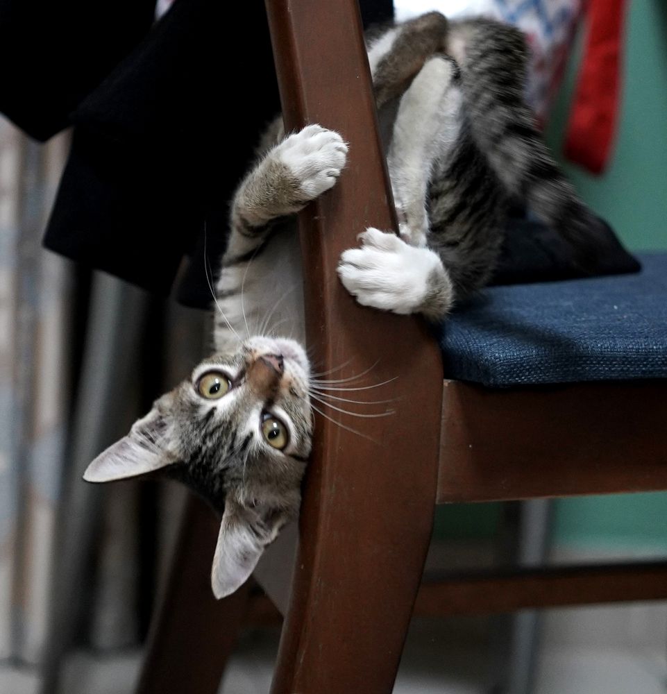 Photograph by Annie Nguyen